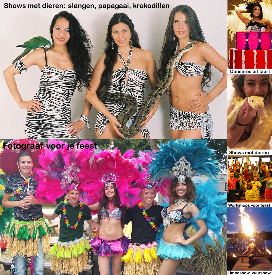Caribbean party Noord Holland